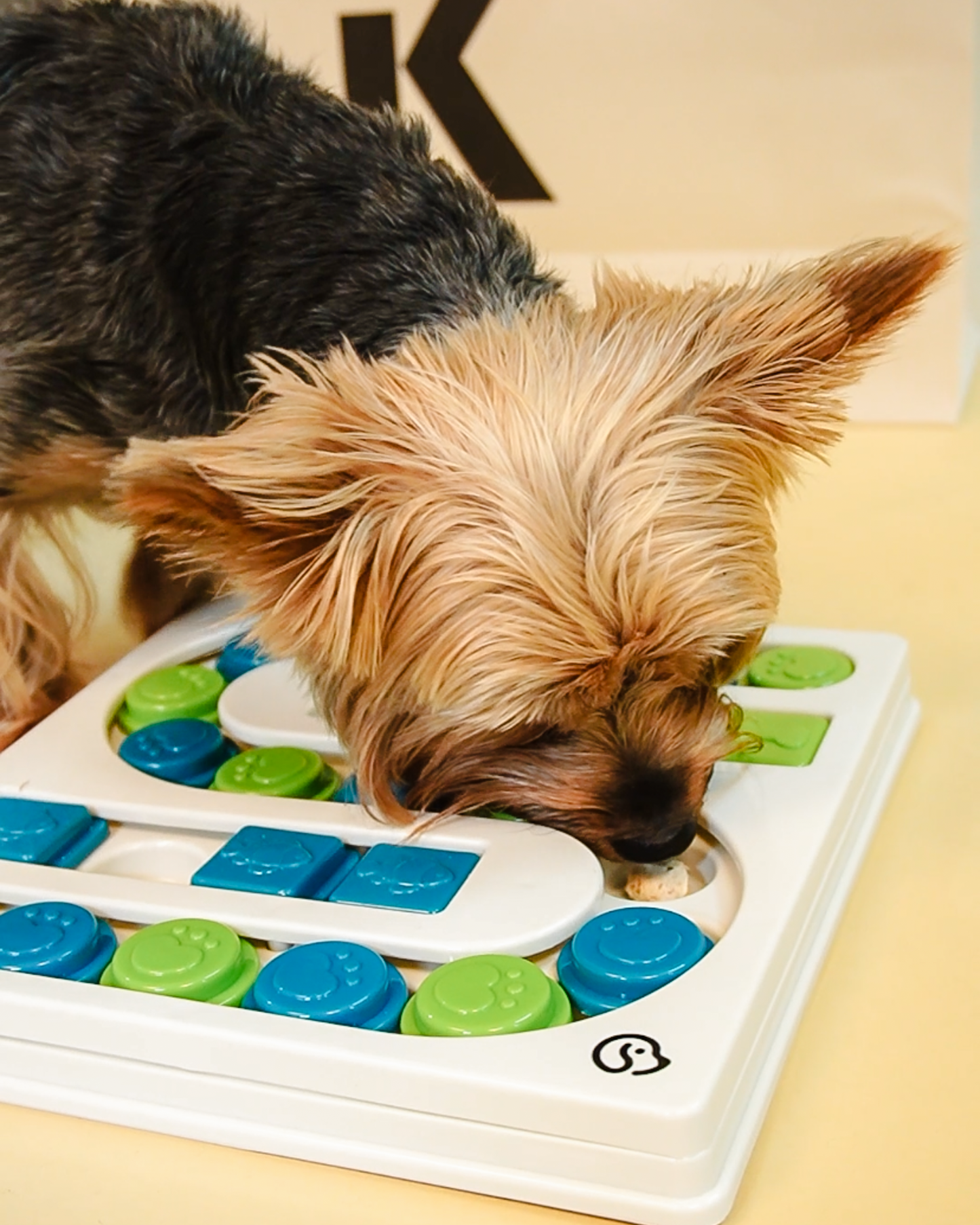 DOG PUZZLE TOY