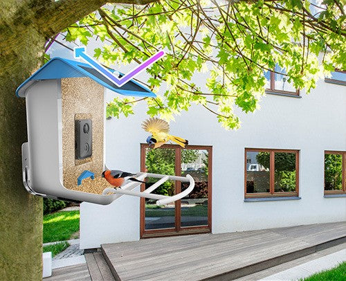 ALIMENTADERO DE AVES CON IA