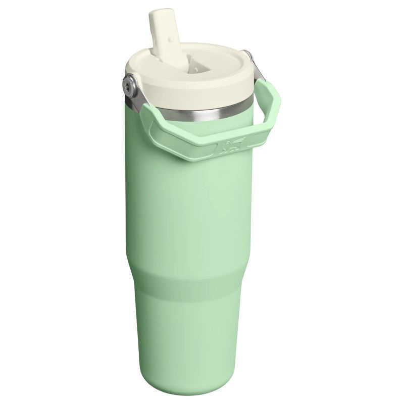 Termo Stanley Classic Flip Straw Tumbler 30 Oz Pistachio
