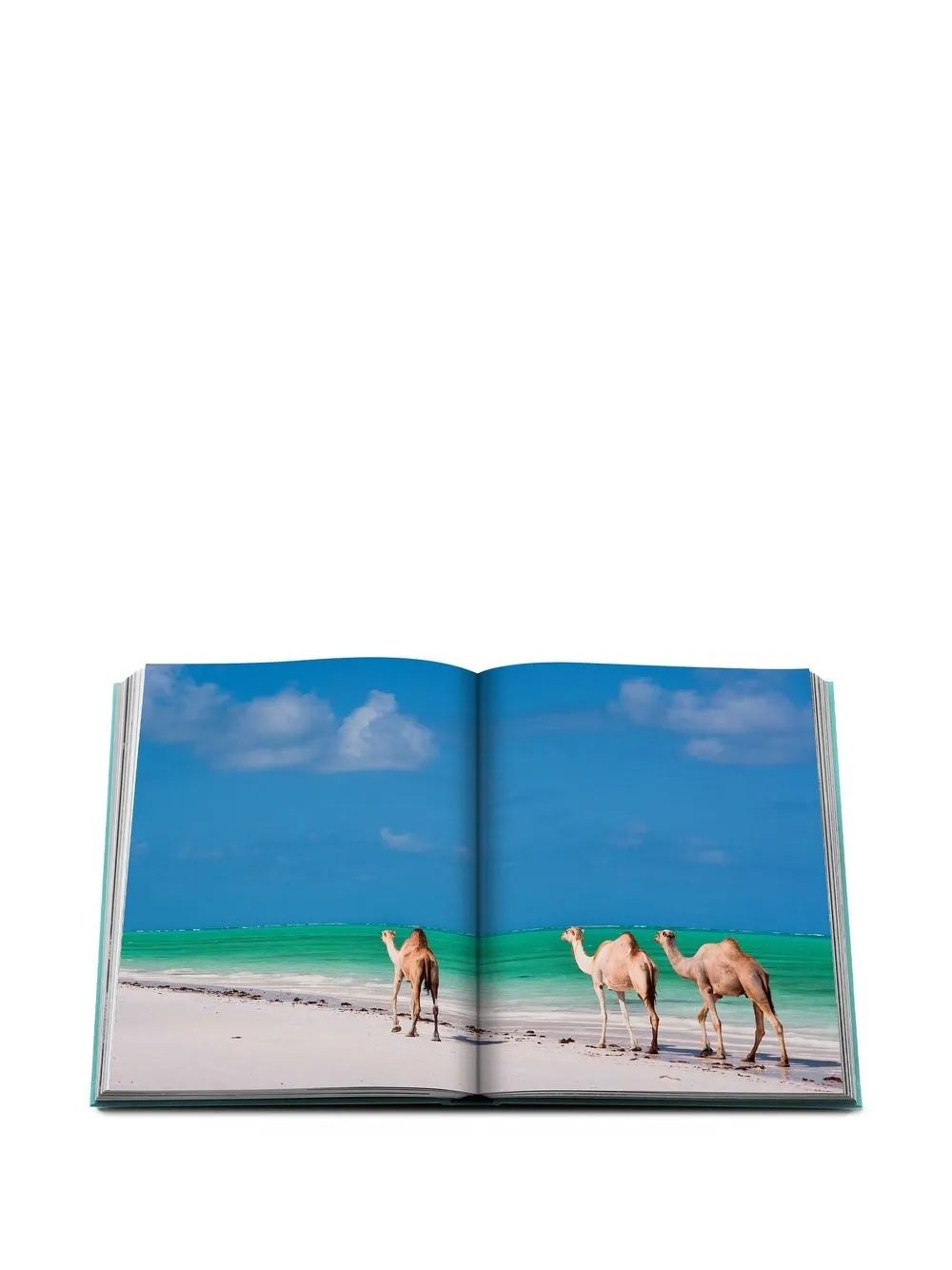 RED SEA THE SAUDI COAST - ASSOULINE
