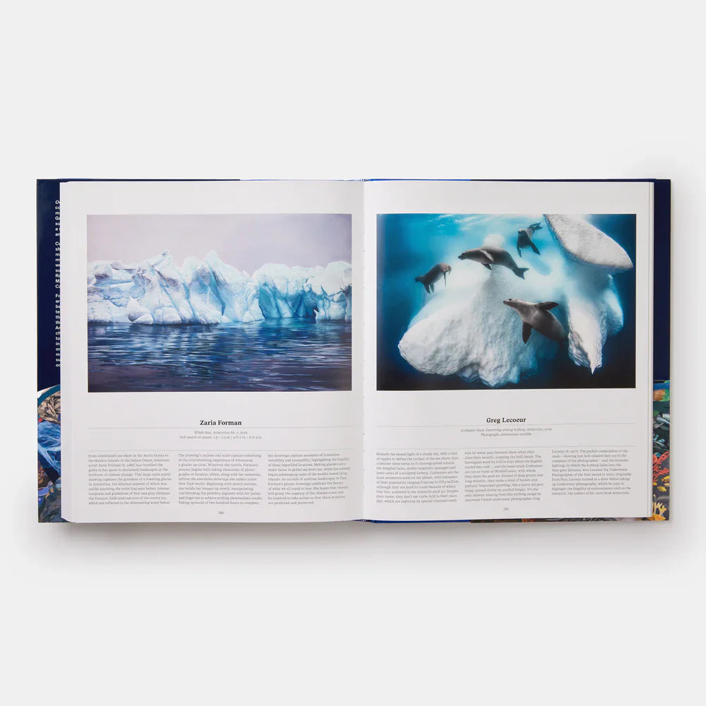 Ocean - Phaidon