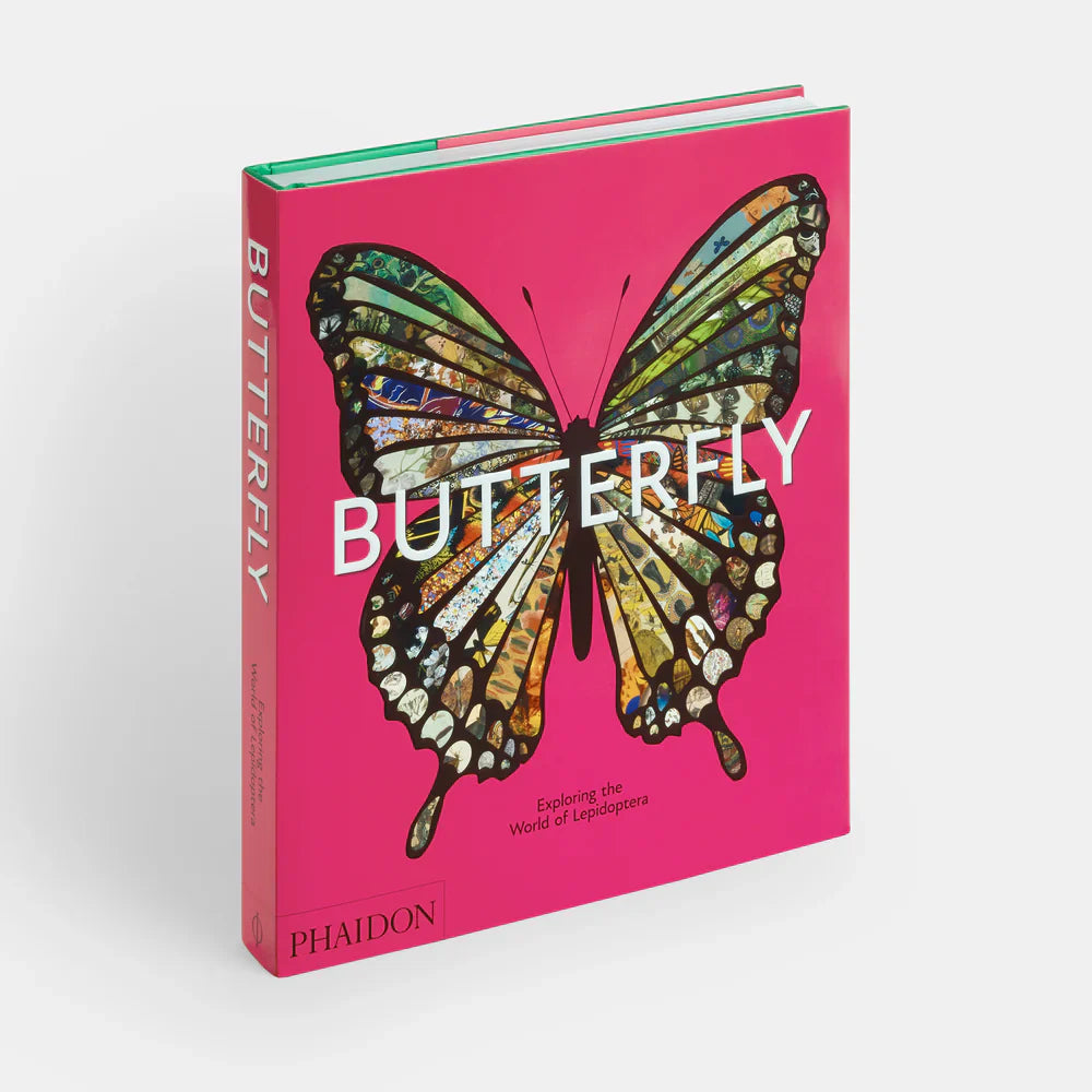 Butterfly - Phaidon
