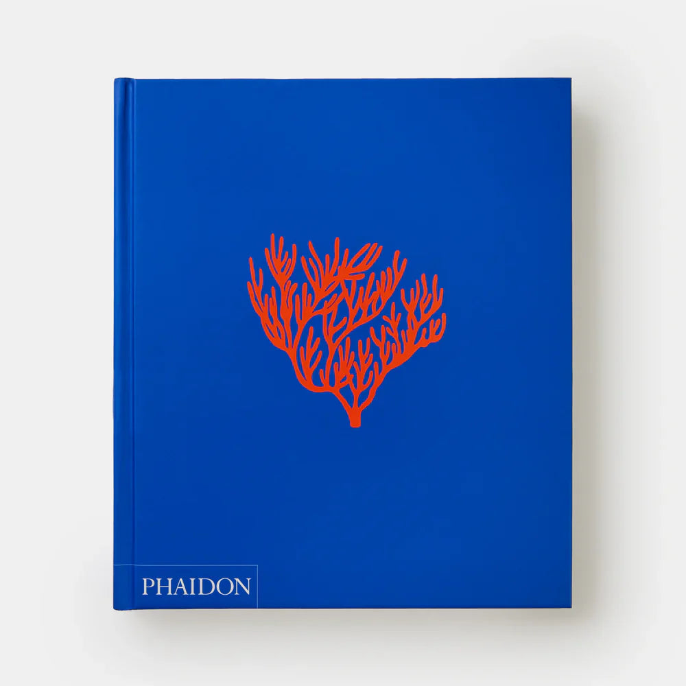 Ocean - Phaidon