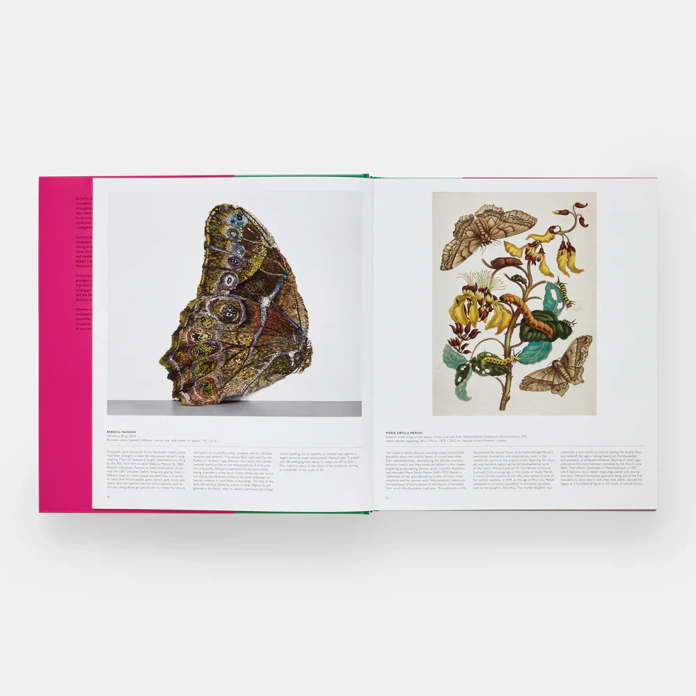 Butterfly - Phaidon