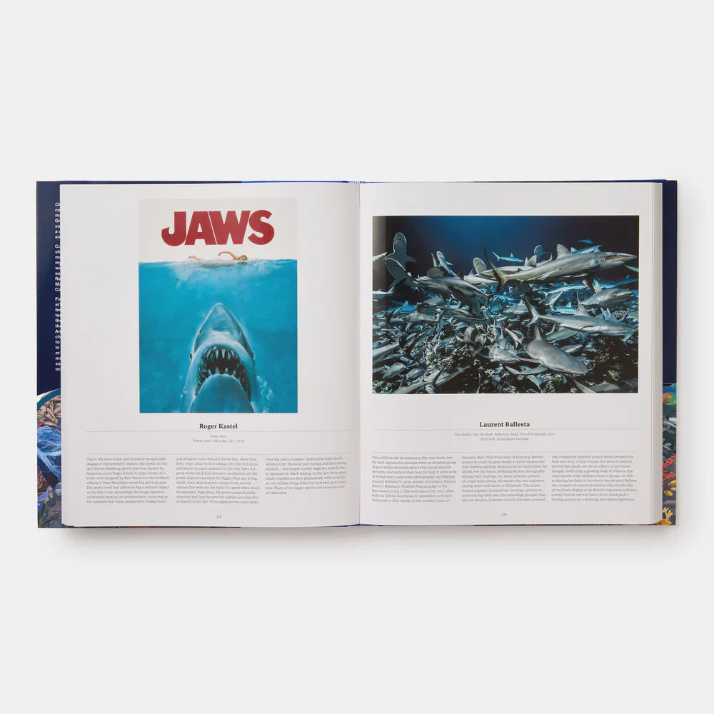 Ocean - Phaidon