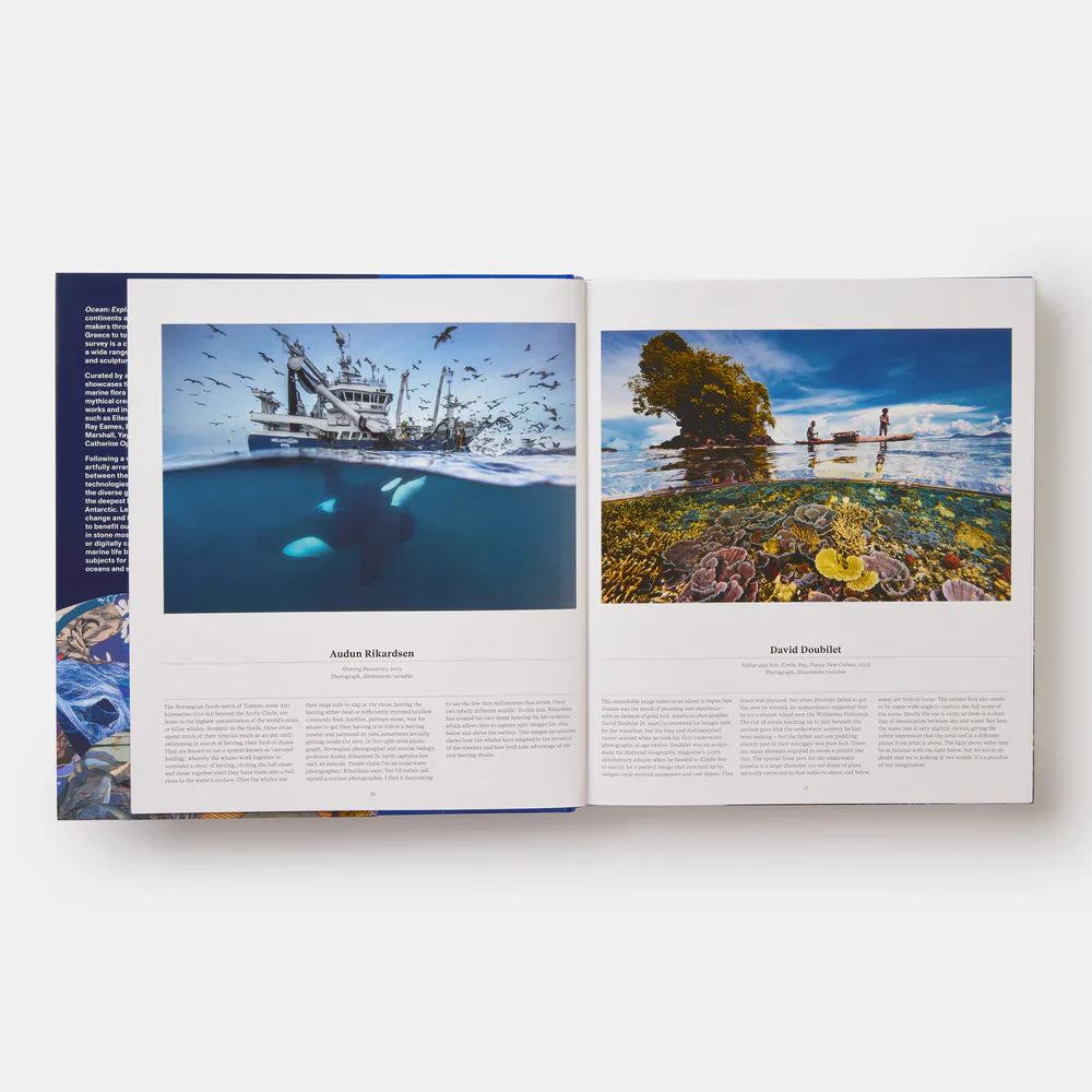 Ocean - Phaidon