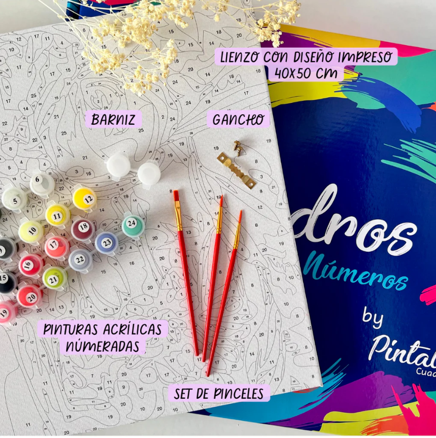 CUADROS PARA PINTAR POR NÚMEROS ADULTO - PINTALA CUADROS