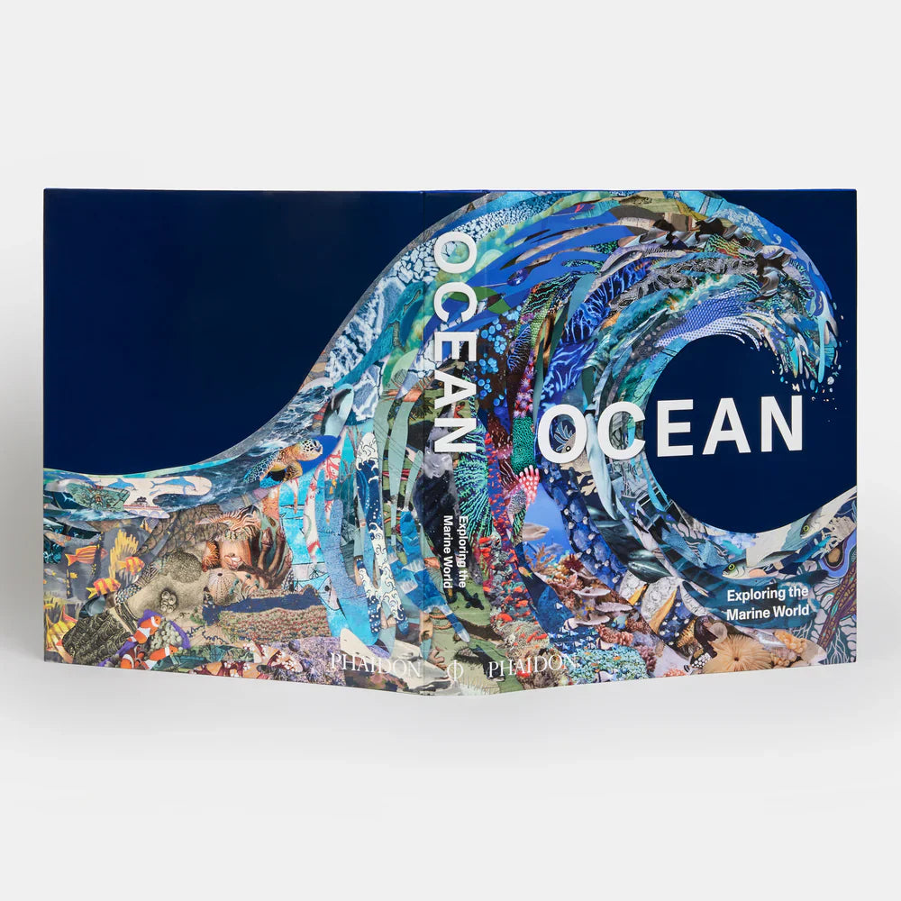 Ocean - Phaidon