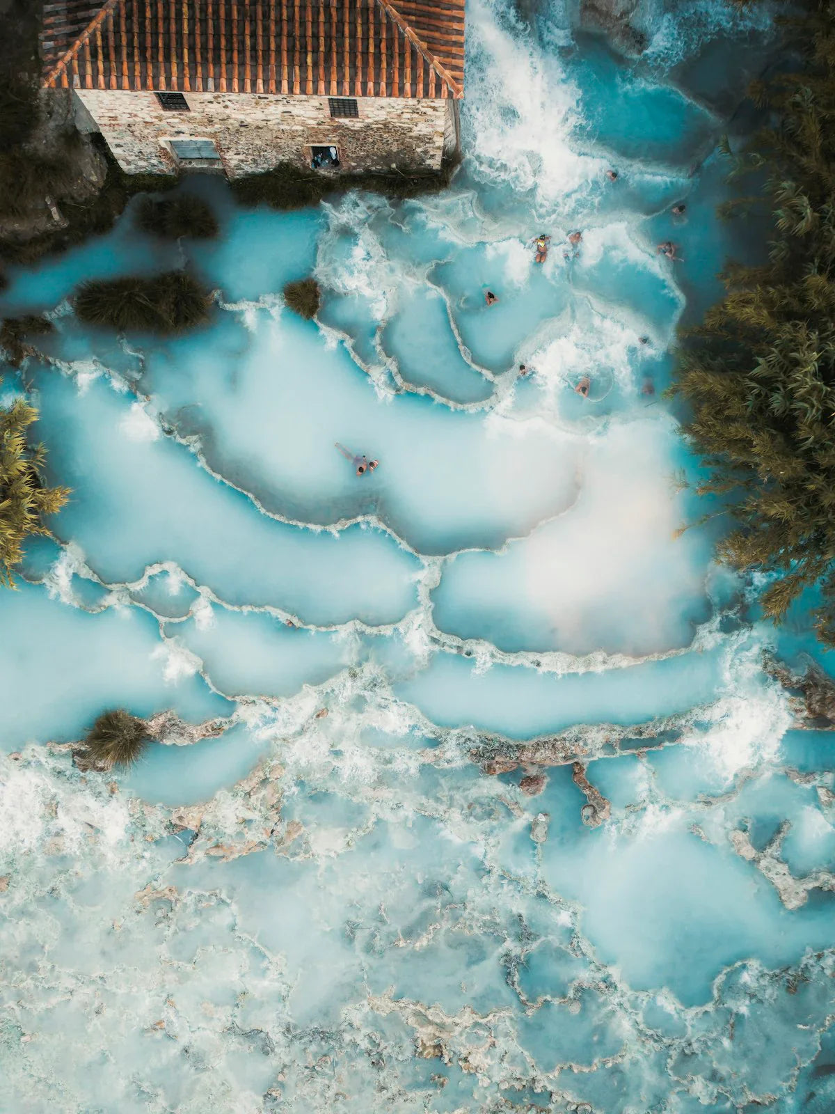 The nature of swiming - Gestalten