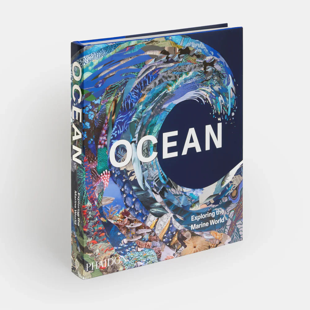 Ocean - Phaidon