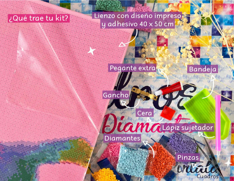 CUADRO PARA PINTAR CON DIAMANTES - PINTALA CUADROS