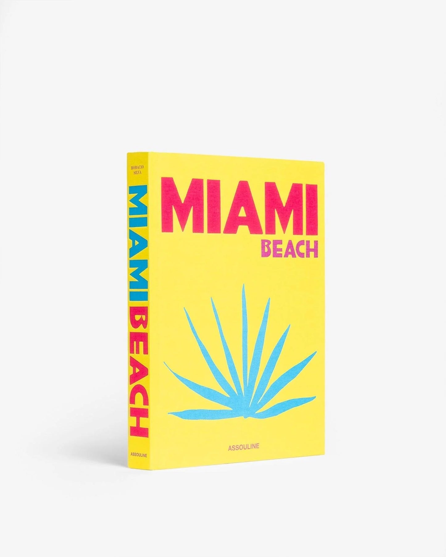 MIAMI BEACH  - ASSOULINE