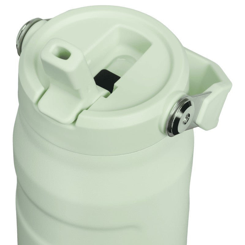 Termo Stanley Iceflow Flip Straw 16 oz Honeydew Garden