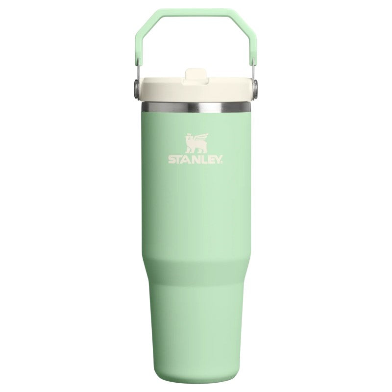 Termo Stanley Classic Flip Straw Tumbler  30 Oz Pistachio